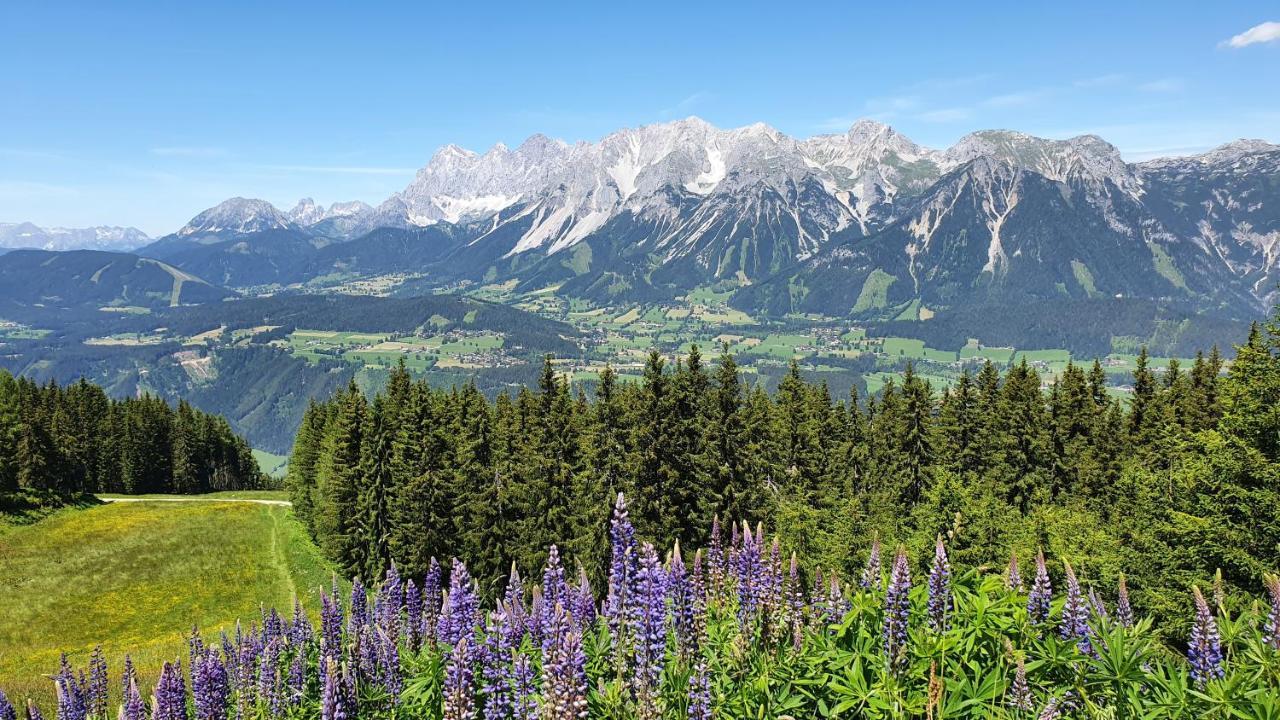 Вилла Schmiedlehnerhof Birnberg Экстерьер фото