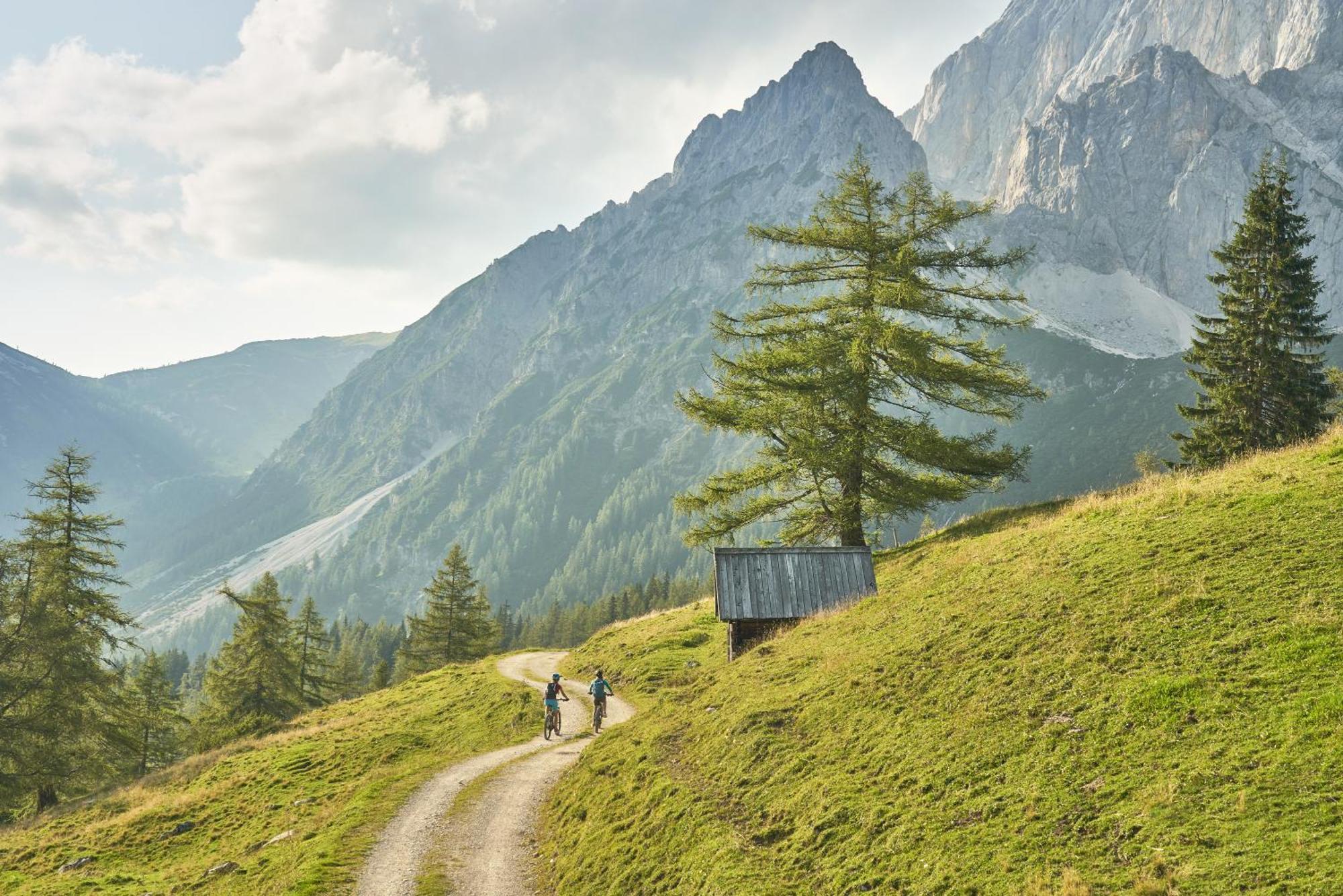 Вилла Schmiedlehnerhof Birnberg Экстерьер фото